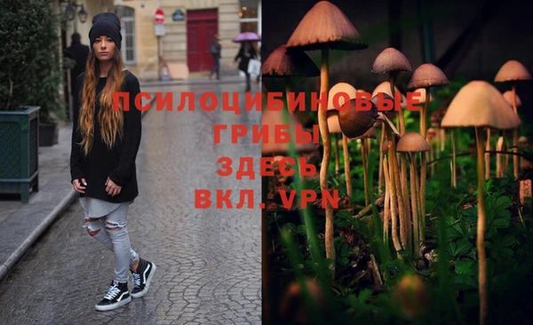 меф Белокуриха