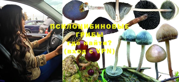 мяу мяу мука Белоозёрский