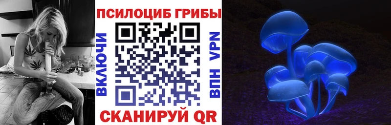 сколько стоит  blacksprut tor  Псилоцибиновые грибы MAGIC MUSHROOMS  Черепаново 